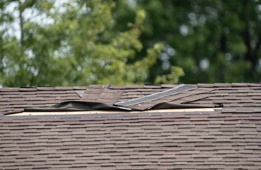 how to tell your roof is leaking in Grand Rapids