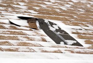 storm damage roof insurance in Northern Michigan